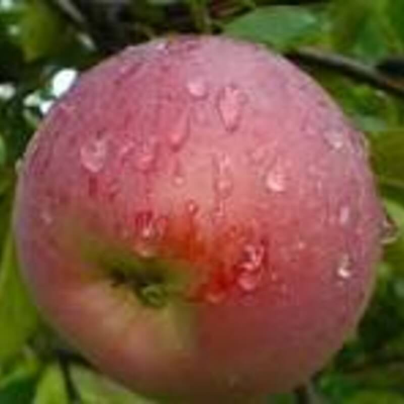 Заславское