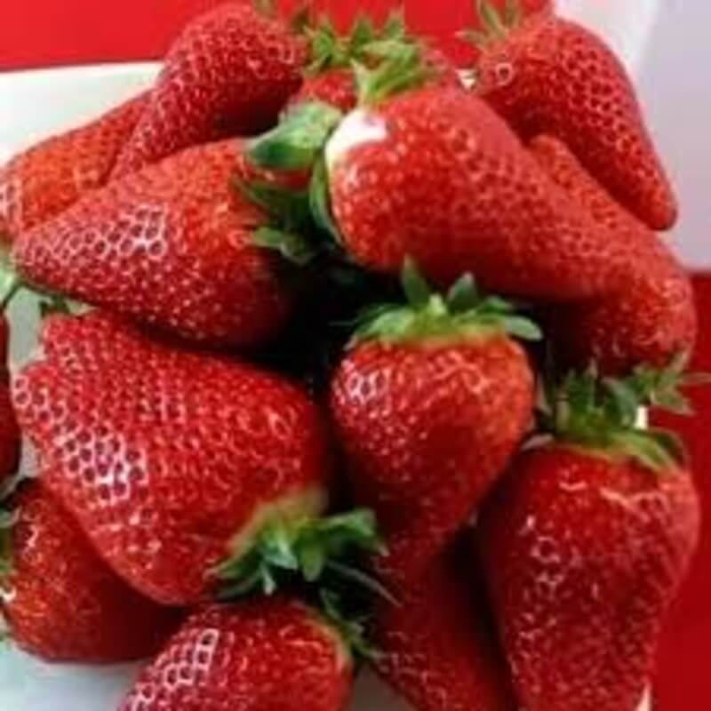 Клубника Брилла